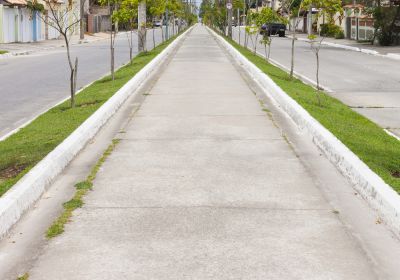 Remove Damaged Areas